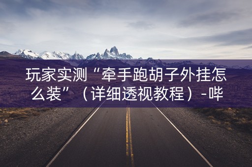玩家实测“牵手跑胡子外挂怎么装”（详细透视教程）-哔哩哔哩