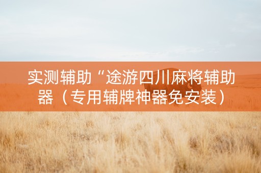 实测辅助“途游四川麻将辅助器（专用辅牌神器免安装）