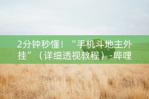 2分钟秒懂！“手机斗地主外挂”（详细透视教程）-哔哩哔哩