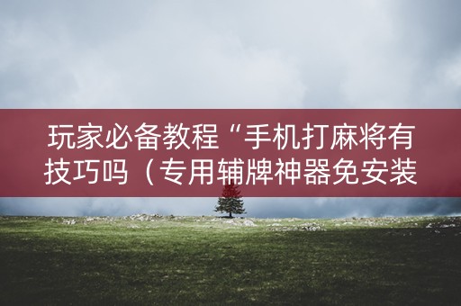 玩家必备教程“手机打麻将有技巧吗（专用辅牌神器免安装）