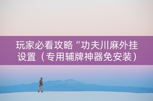 玩家必看攻略“功夫川麻外挂设置（专用辅牌神器免安装）