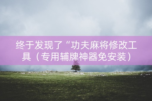 终于发现了“功夫麻将修改工具（专用辅牌神器免安装）