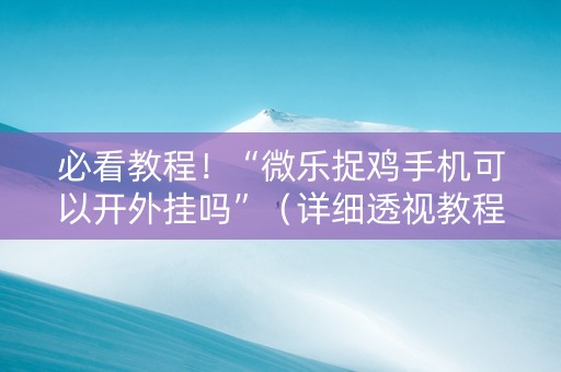 必看教程！“微乐捉鸡手机可以开外挂吗”（详细透视教程）-哔哩哔哩