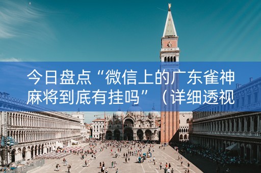 今日盘点“微信上的广东雀神麻将到底有挂吗”（详细透视教程）-哔哩哔哩