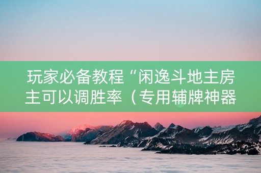 玩家必备教程“闲逸斗地主房主可以调胜率（专用辅牌神器免安装）