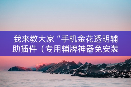 我来教大家“手机金花透明辅助插件（专用辅牌神器免安装）
