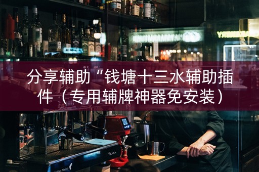 分享辅助“钱塘十三水辅助插件（专用辅牌神器免安装）