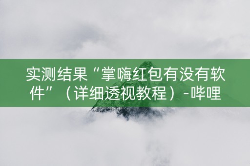 实测结果“掌嗨红包有没有软件”（详细透视教程）-哔哩哔哩