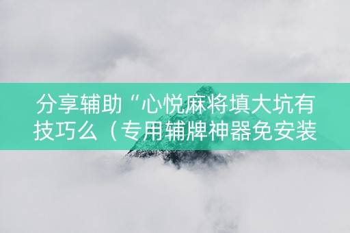 分享辅助“心悦麻将填大坑有技巧么（专用辅牌神器免安装）