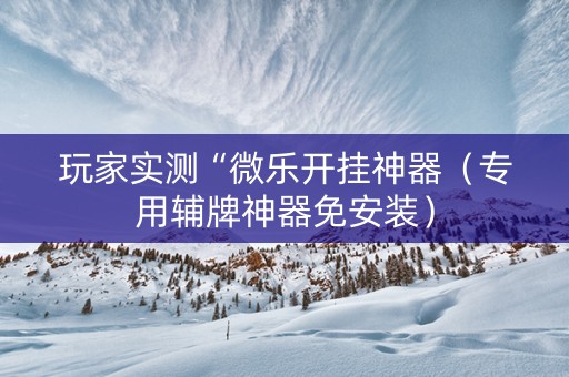 玩家实测“微乐开挂神器（专用辅牌神器免安装）