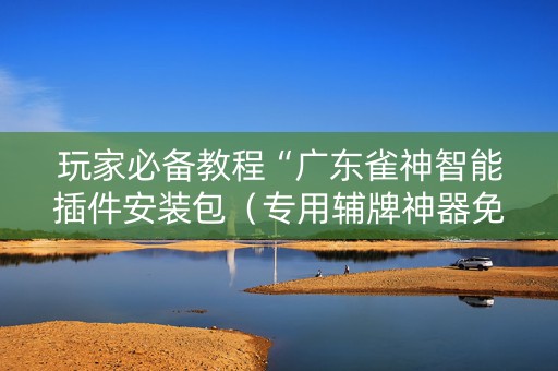 玩家必备教程“广东雀神智能插件安装包（专用辅牌神器免安装）