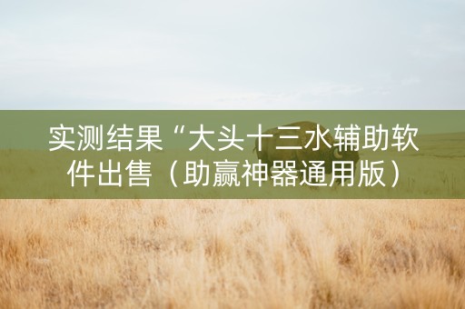 实测结果“大头十三水辅助软件出售（助赢神器通用版）