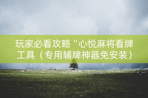 玩家必看攻略“心悦麻将看牌工具（专用辅牌神器免安装）