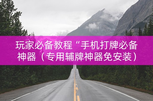 玩家必备教程“手机打牌必备神器（专用辅牌神器免安装）