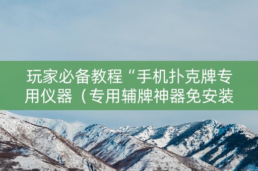 玩家必备教程“手机扑克牌专用仪器（专用辅牌神器免安装）