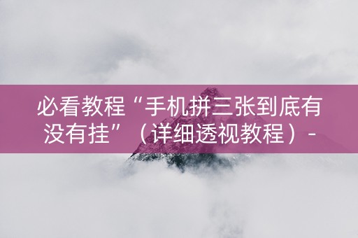 必看教程“手机拼三张到底有没有挂”（详细透视教程）-哔哩哔哩