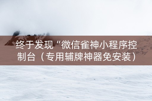 终于发现“微信雀神小程序控制台（专用辅牌神器免安装）