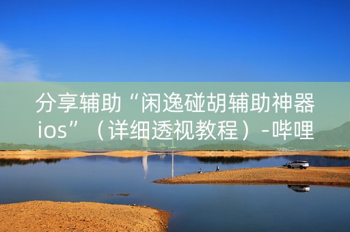 分享辅助“闲逸碰胡辅助神器ios”（详细透视教程）-哔哩哔哩