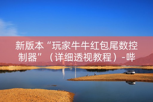 新版本“玩家牛牛红包尾数控制器”（详细透视教程）-哔哩哔哩