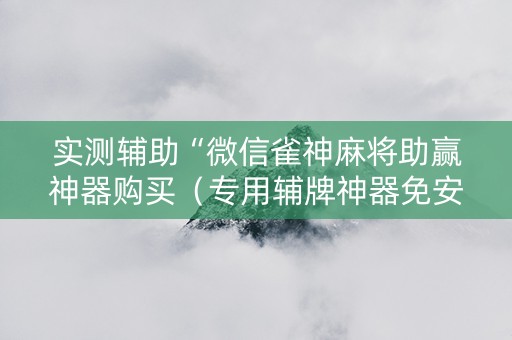 实测辅助“微信雀神麻将助赢神器购买（专用辅牌神器免安装）