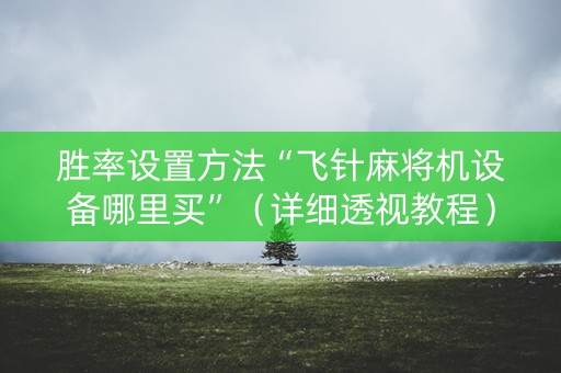 胜率设置方法“飞针麻将机设备哪里买”（详细透视教程）-哔哩哔哩