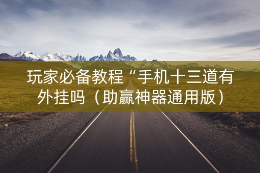 玩家必备教程“手机十三道有外挂吗（助赢神器通用版）