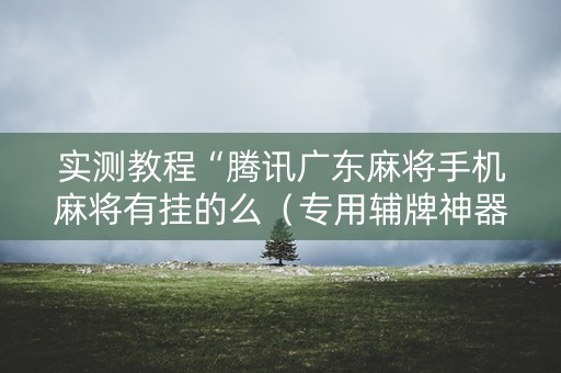 实测教程“腾讯广东麻将手机麻将有挂的么（专用辅牌神器免安装）