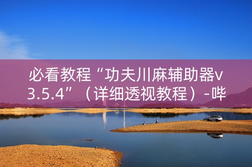 必看教程“功夫川麻辅助器v3.5.4”（详细透视教程）-哔哩哔哩