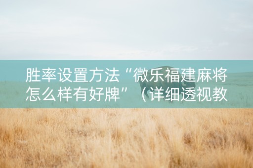 胜率设置方法“微乐福建麻将怎么样有好牌”（详细透视教程）-哔哩哔哩