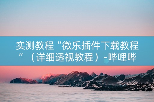 实测教程“微乐插件下载教程”（详细透视教程）-哔哩哔哩
