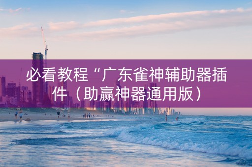 必看教程“广东雀神辅助器插件（助赢神器通用版）