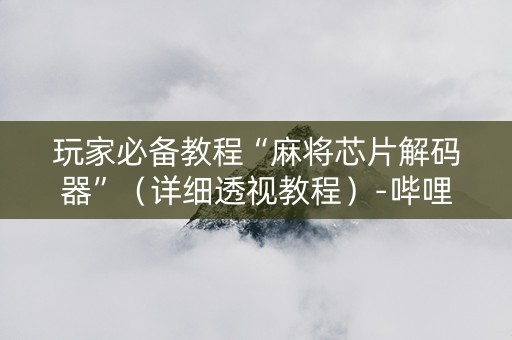 玩家必备教程“麻将芯片解码器”（详细透视教程）-哔哩哔哩