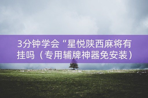3分钟学会“星悦陕西麻将有挂吗（专用辅牌神器免安装）