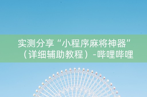 实测分享“小程序麻将神器”（详细辅助教程）-哔哩哔哩