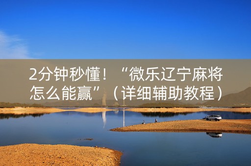 2分钟秒懂！“微乐辽宁麻将怎么能赢”（详细辅助教程）-哔哩哔哩