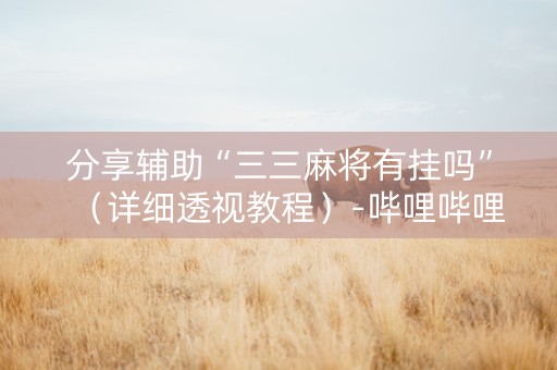 分享辅助“三三麻将有挂吗”（详细透视教程）-哔哩哔哩