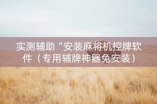 实测辅助“安装麻将机控牌软件（专用辅牌神器免安装）