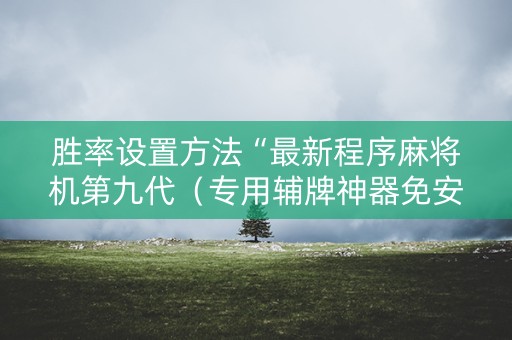 胜率设置方法“最新程序麻将机第九代（专用辅牌神器免安装）