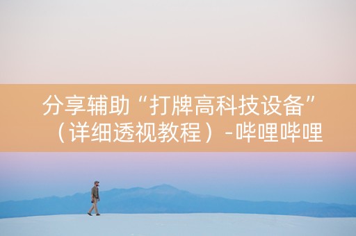 分享辅助“打牌高科技设备”（详细透视教程）-哔哩哔哩