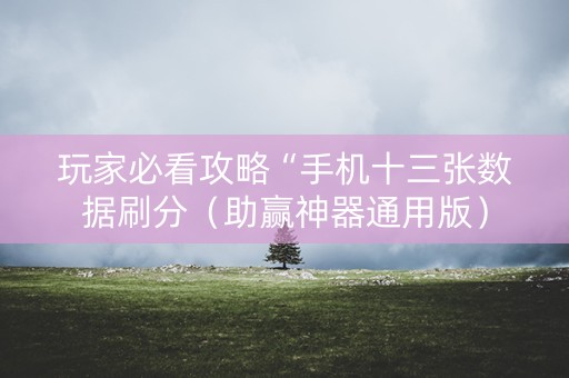 玩家必看攻略“手机十三张数据刷分（助赢神器通用版）