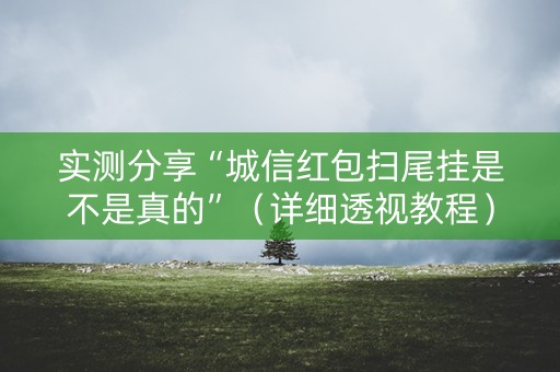 实测分享“城信红包扫尾挂是不是真的”（详细透视教程）-哔哩哔哩