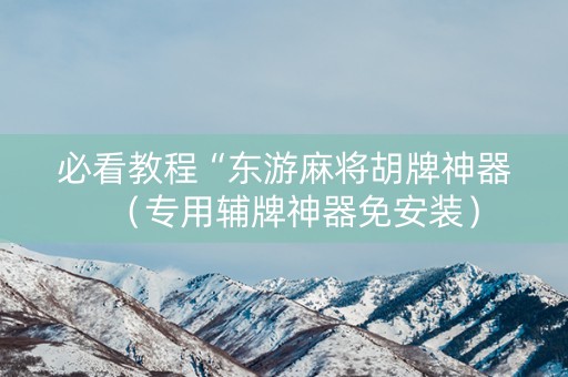 必看教程“东游麻将胡牌神器（专用辅牌神器免安装）