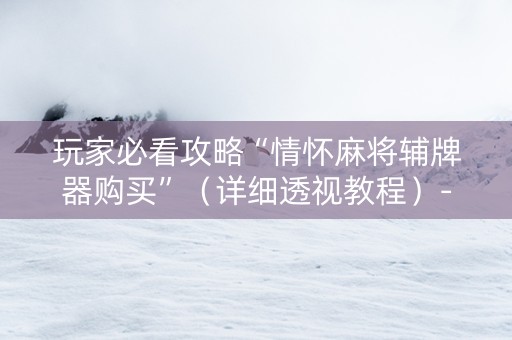 玩家必看攻略“情怀麻将辅牌器购买”（详细透视教程）-哔哩哔哩