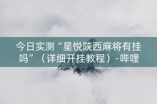 今日实测“星悦陕西麻将有挂吗”（详细开挂教程）-哔哩哔哩