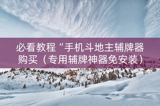 必看教程“手机斗地主辅牌器购买（专用辅牌神器免安装）