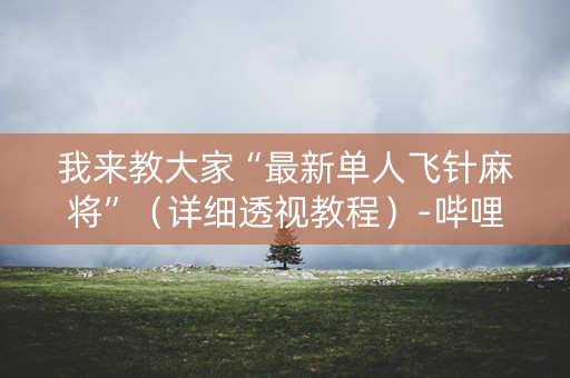 我来教大家“最新单人飞针麻将”（详细透视教程）-哔哩哔哩