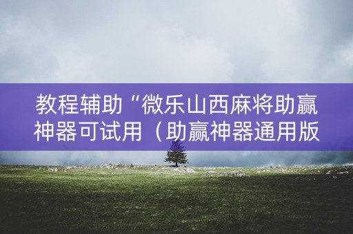 教程辅助“微乐山西麻将助赢神器可试用（助赢神器通用版）