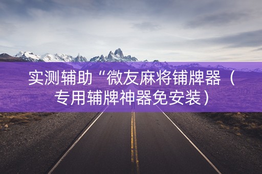 实测辅助“微友麻将铺牌器（专用辅牌神器免安装）