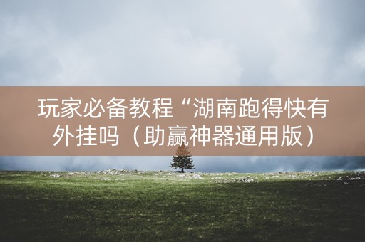 玩家必备教程“湖南跑得快有外挂吗（助赢神器通用版）