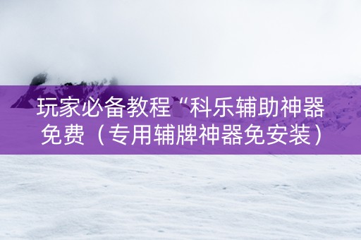 玩家必备教程“科乐辅助神器免费（专用辅牌神器免安装）